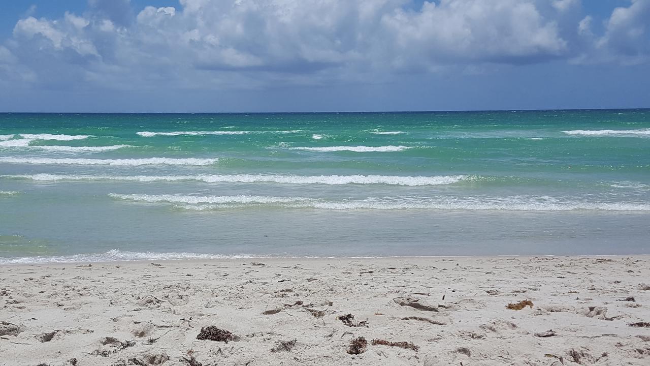 2 Bedroom 2 Bath Beachfront Condo On Miami Beach Millionaire Row 외부 사진